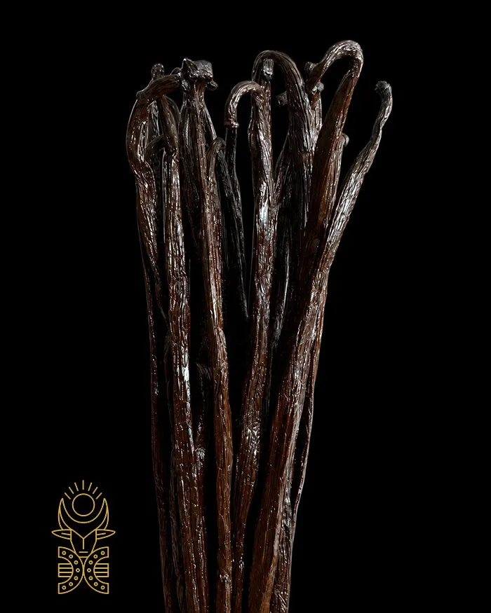 gousse madagascar fond noir.webp