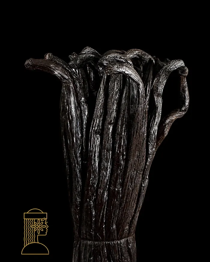 gousse metis fond noir.webp