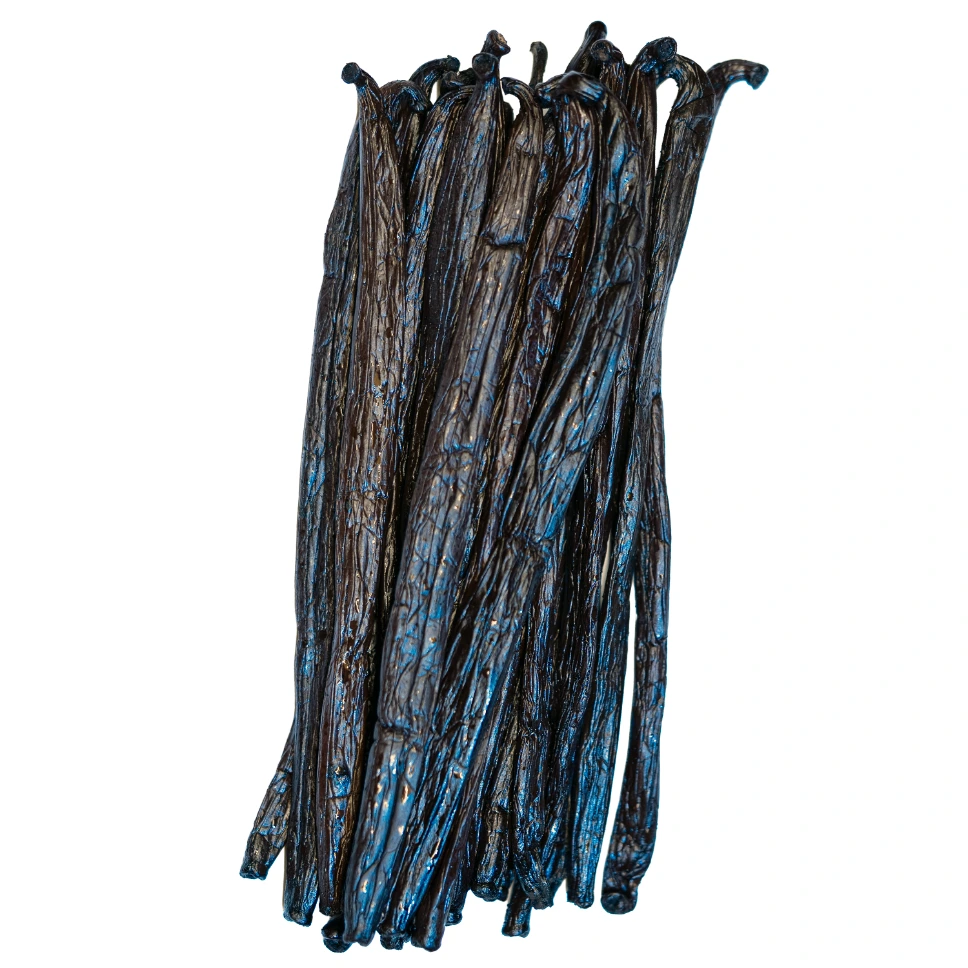 15 Gousses de vanille de Tahaa - Tahiti (16-17cm)